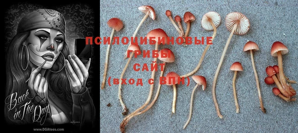 прущая мука Лихославль