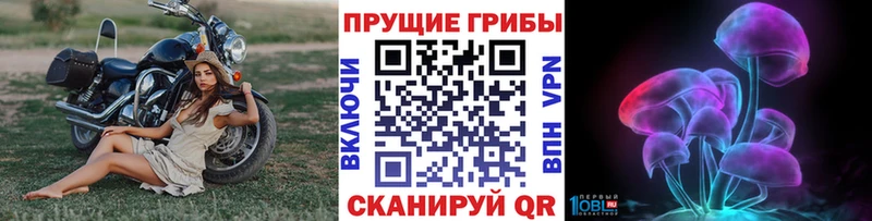 Галлюциногенные грибы мухоморы  Красногорск 